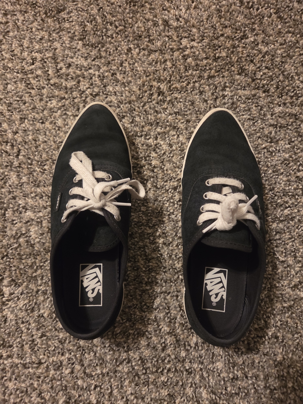 Vans Black Canvas Low-Top Sneakers with White Laces